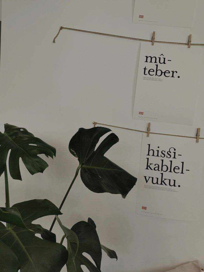 Friluftsliv Danmark
